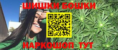индика Кинель