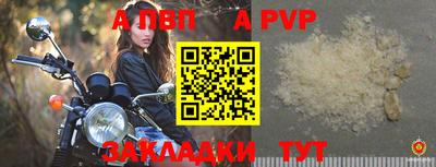 молекула духа Кингисепп