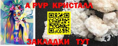 молекула духа Кингисепп