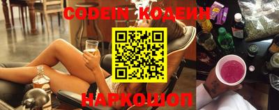 молекула духа Кингисепп