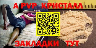 молекула духа Кингисепп