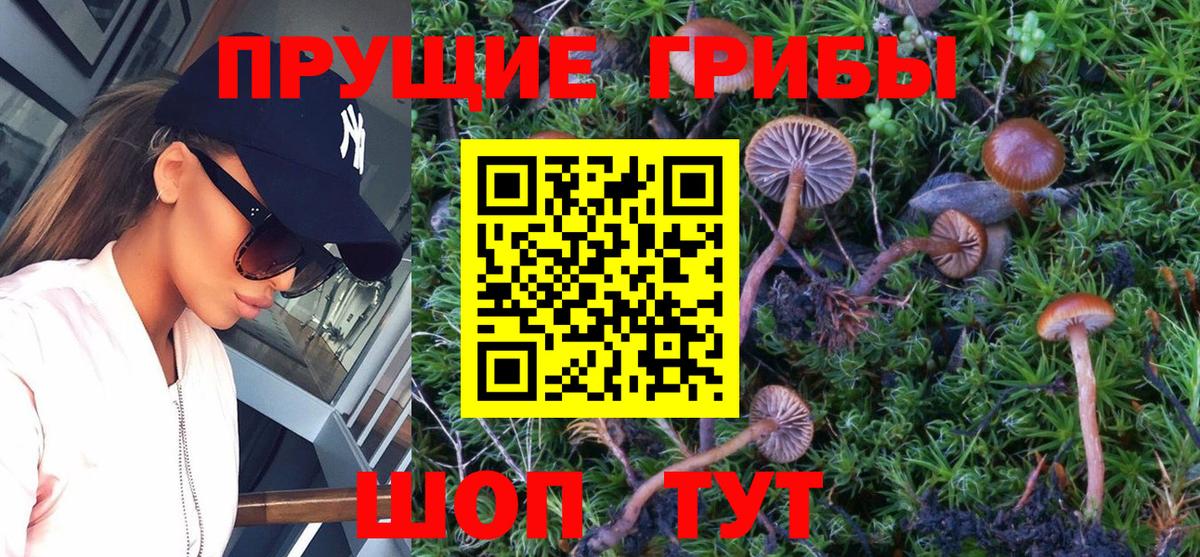 Галлюциногенные грибы мицелий Котельники